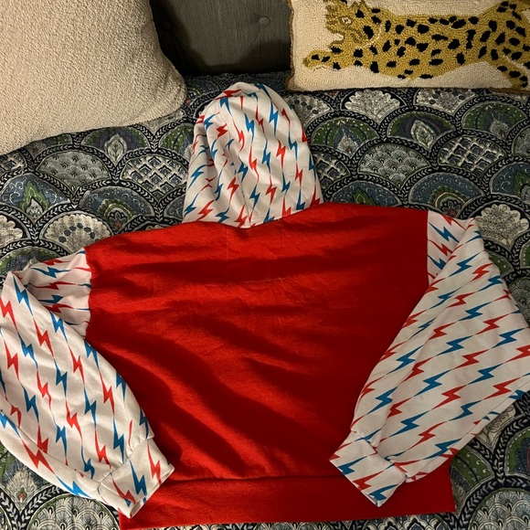 Aviator Nation - Fourth of July Relaxed Crop Pull Over Hoodie 🇺🇸 - Picture 5 of 9